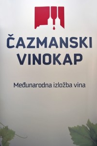 vinokap1