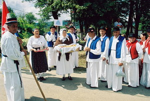 zapovijed