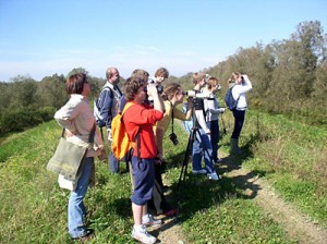 Prebrojavanje_ptica_2006