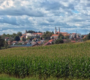 Panorama 12