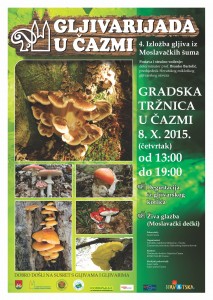 gljive plakat 2015